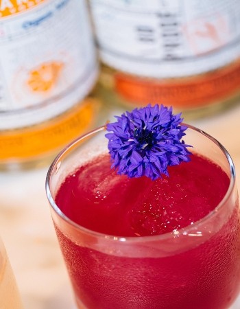 DIY Prickly in Pink Cocktail Kit